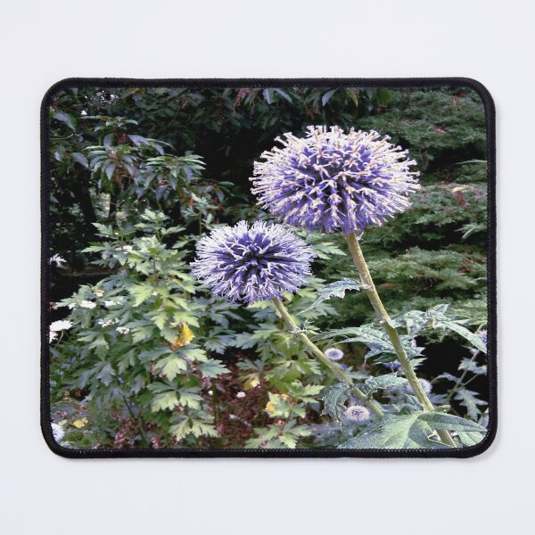 Item preview, "Les chardons bleus" (= the blue thistles) designed and sold by Isa-Isarielle.