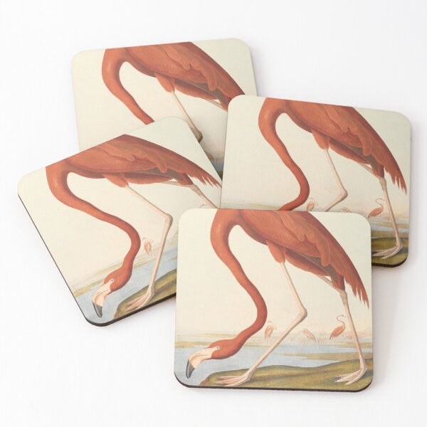 Item preview, Vintage Pink flamingo by Audubon, birds of america  designed and sold by cutesy.