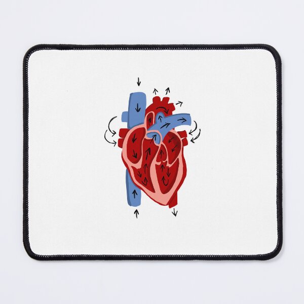 Item preview, Anatomical Heart Blood Flow designed and sold by Claire Blevins.
