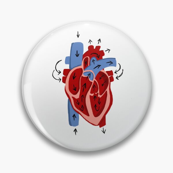 Item preview, Anatomical Heart Blood Flow designed and sold by Claire  Blevins.