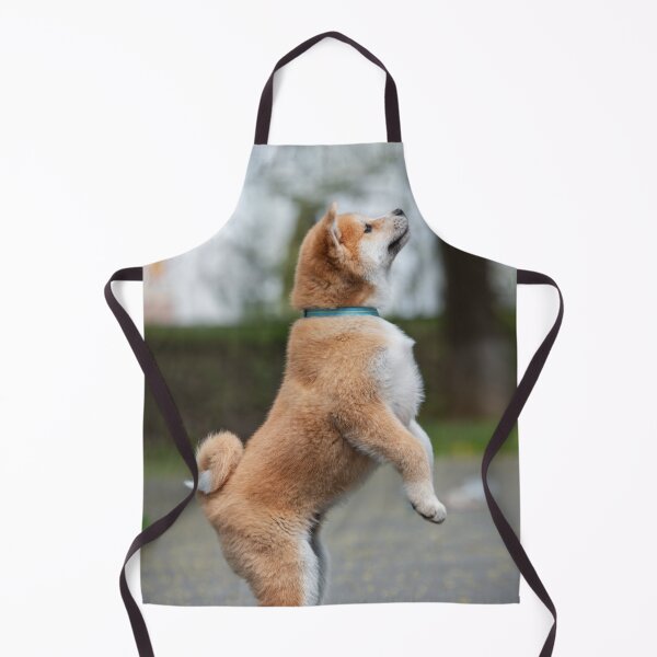 Item preview, Akita Puppy New Tricks designed and sold by VanGaldo.