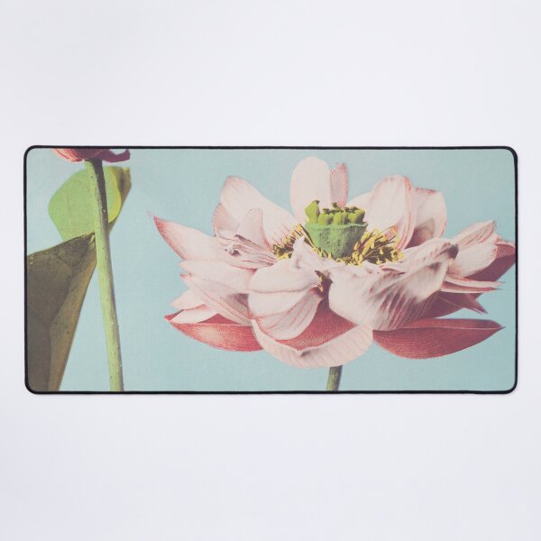 Item preview, Lotus Flower collotype by Ogawa Kazumasa designed and sold by cutesy.