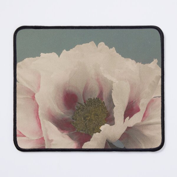 Item preview, Vintage Tree Peony Flower by Ogawa Kazumasa designed and sold by cutesy.
