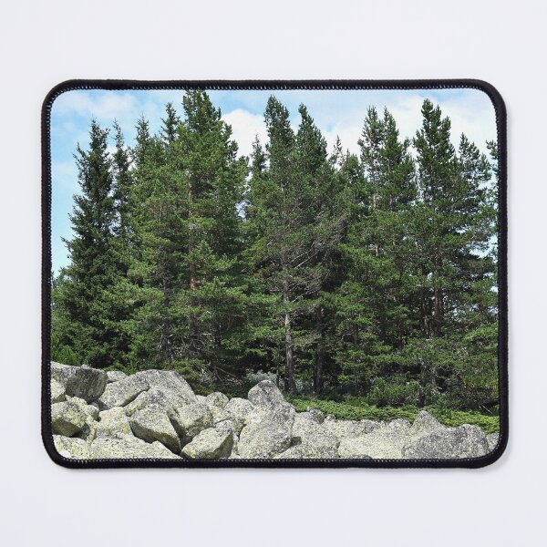 Item preview, Meadow with boulders and coniferous trees in the mountain designed and sold by mariya-ivanova.