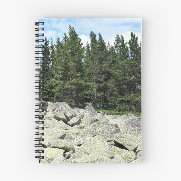 Item preview, Meadow with boulders and coniferous trees in the mountain designed and sold by mariya-ivanova.