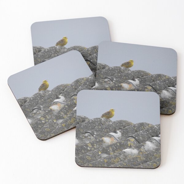 Item preview, Yellowhammer singing on roof designed and sold by TwistedClassics.