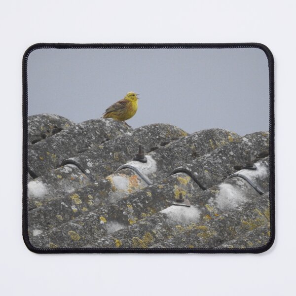 Item preview, Yellowhammer singing on roof designed and sold by TwistedClassics.