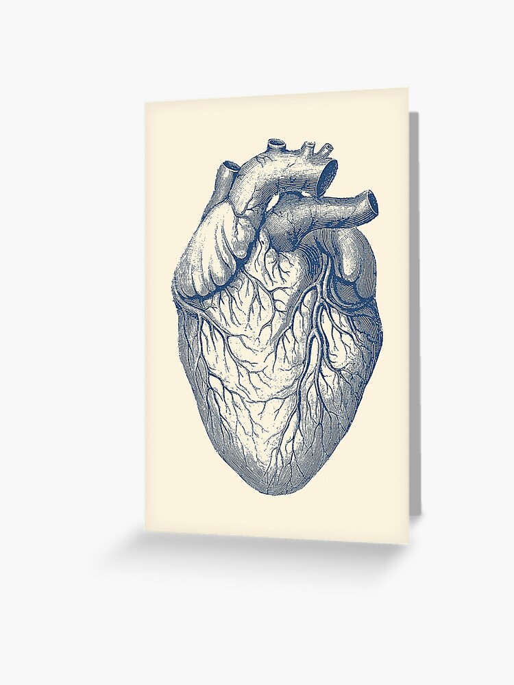 Human Heart Vintage Medical Diagram Greeting Card