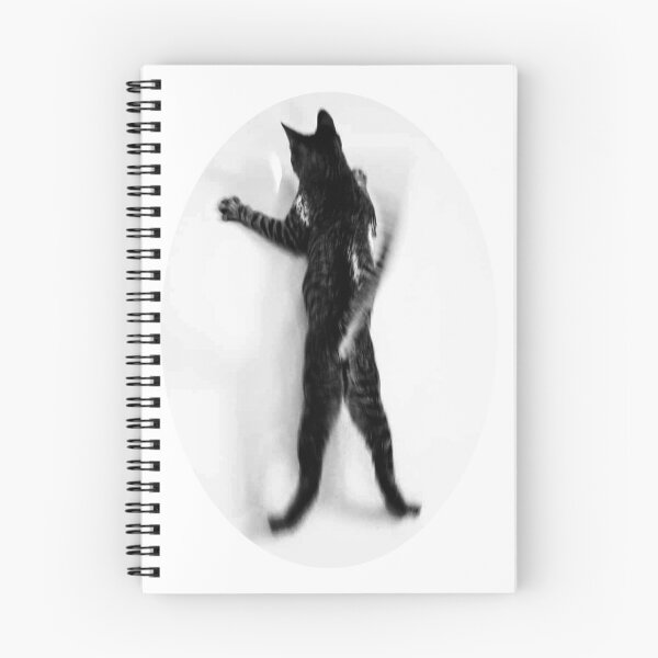 Item preview, Flying Cat  designed and sold by ROSIE-47.