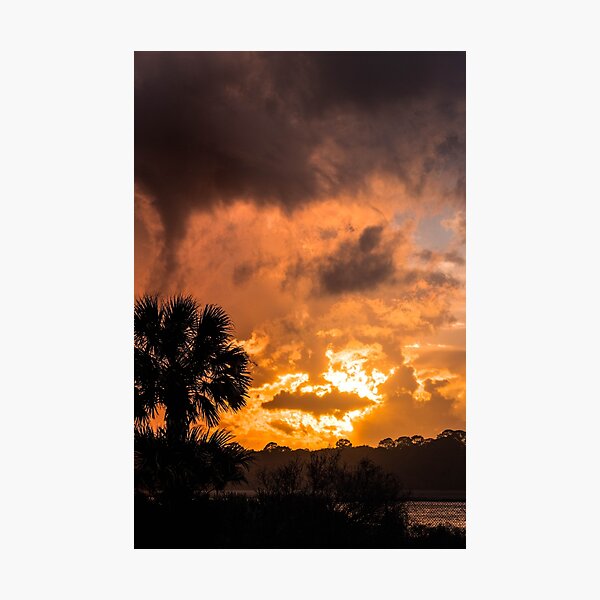 Item preview, Palm tree sunset over river designed and sold by Jonmarteva.
