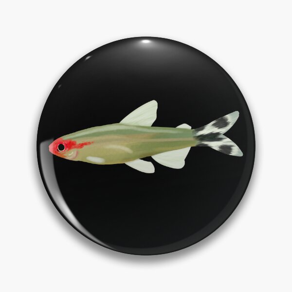 Item preview, Rummy Nose Tetra designed and sold by Iyuda.