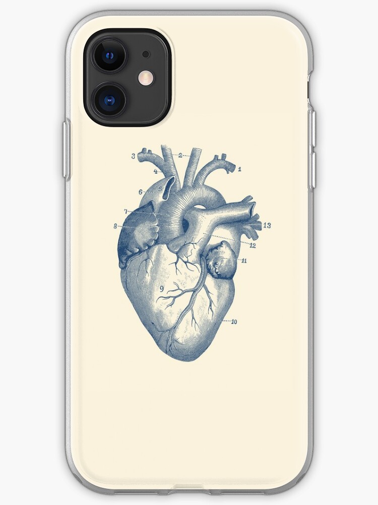 Menschliches Herz Diagramm Weinlese Anatomie Iphone Hulle Cover Von Vaposters Redbubble