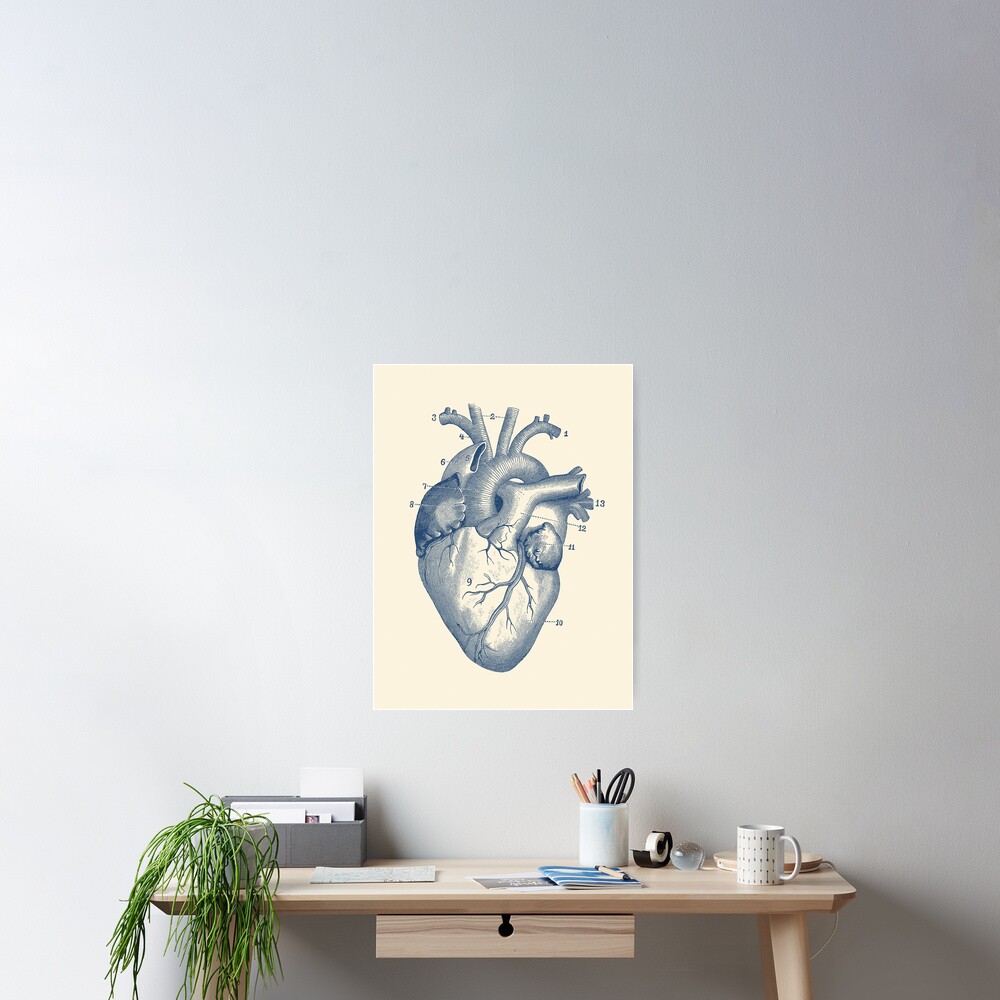 Human Heart Diagram - Vintage Anatomy Poster
