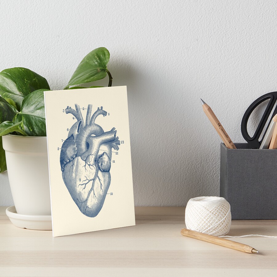 "Human Heart Diagram - Vintage Anatomy " Art Board Print for Sale by ...