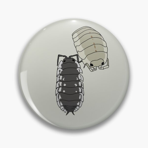 Aperçu de l'œuvre cloportes muraux créée et vendue par Lilis-isopods.