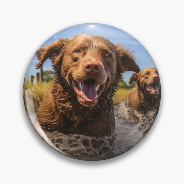 Item preview, Chesapeake Bay Retrievers in a Saltwater Marsh designed and sold by Samuelsboro.