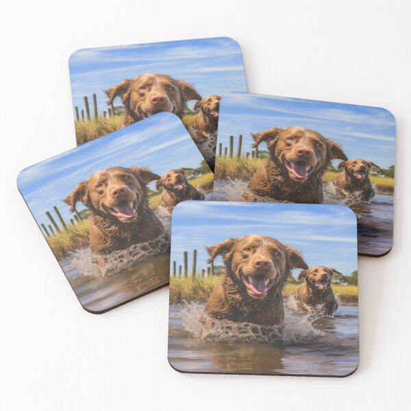 Item preview, Chesapeake Bay Retrievers in a Saltwater Marsh designed and sold by Samuelsboro.
