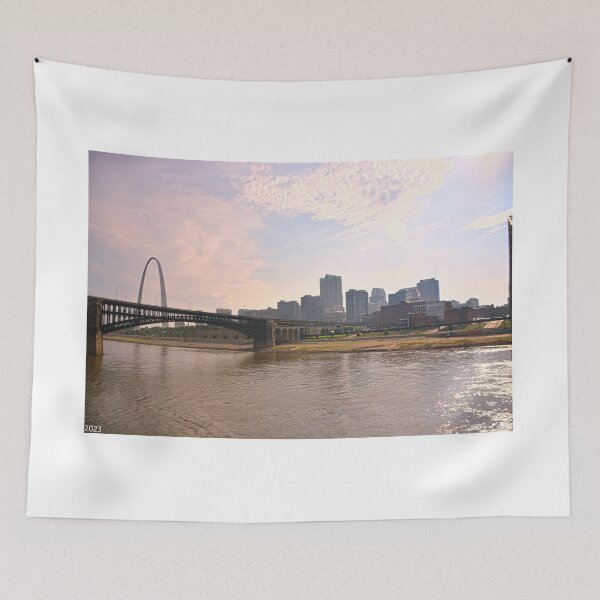 Item preview, Goodbye St. Louis designed and sold by LisaWootenPhoto.