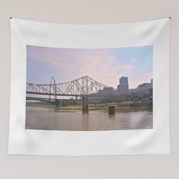 Item preview, Goodbye St. Louis Missouri designed and sold by LisaWootenPhoto.