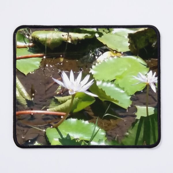 Item preview, “Water lilies” designed and sold by Isa-Isarielle.