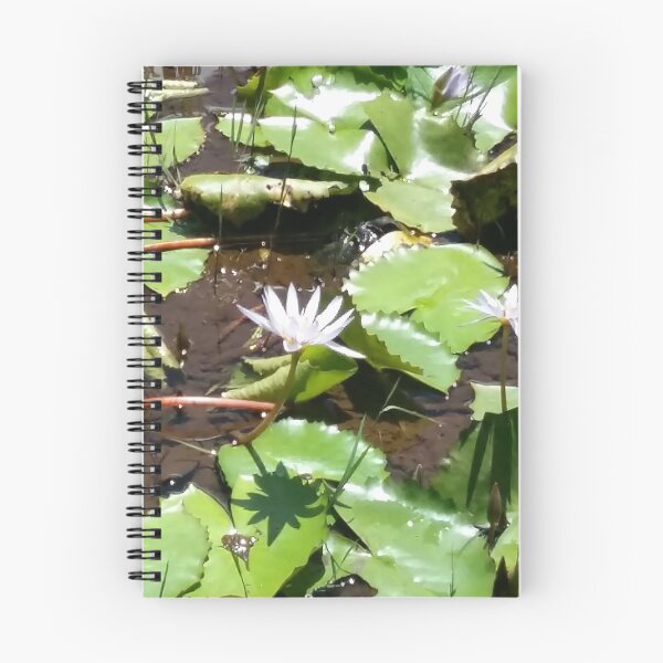Item preview, “Water lilies” designed and sold by Isa-Isarielle.