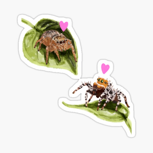 Item preview, Cute jumping spiders in love designed and sold by AJPaint.