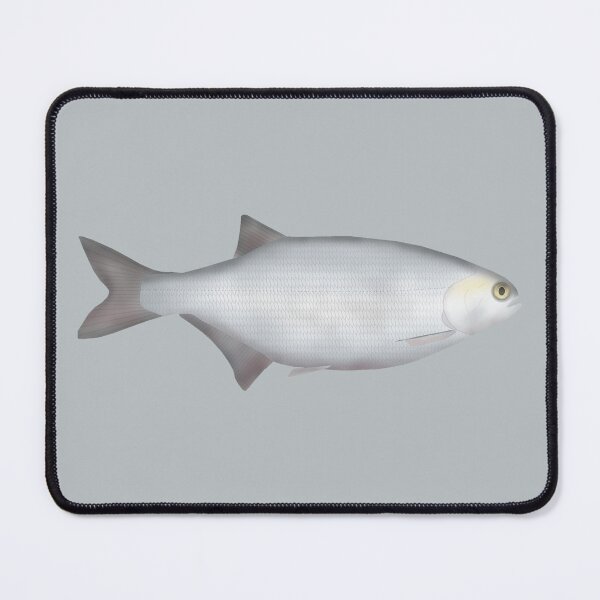 Item preview, Goldeye designed and sold by fishfolkart.