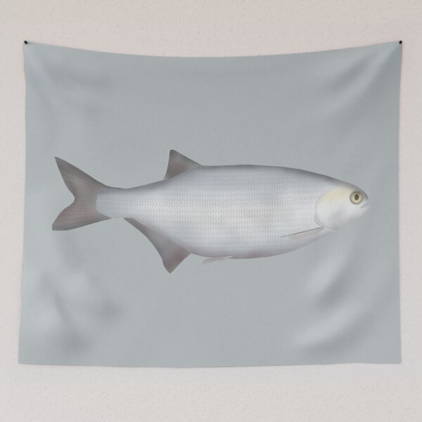 Item preview, Goldeye designed and sold by fishfolkart.