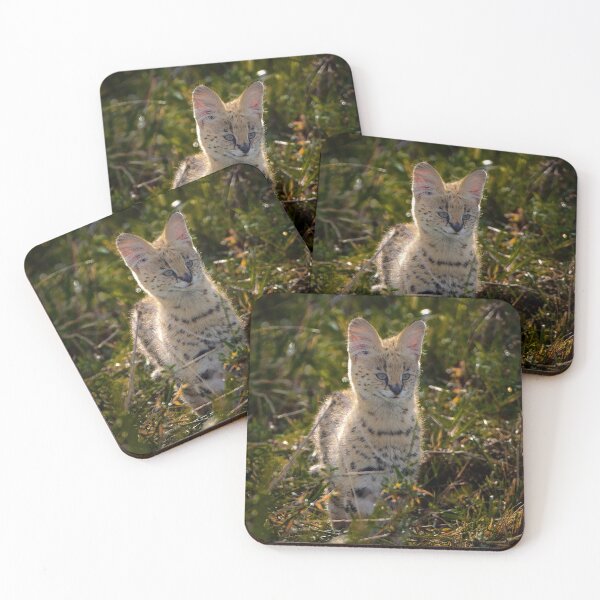 Item preview, Cute young Serval Cat designed and sold by FormigaArt.