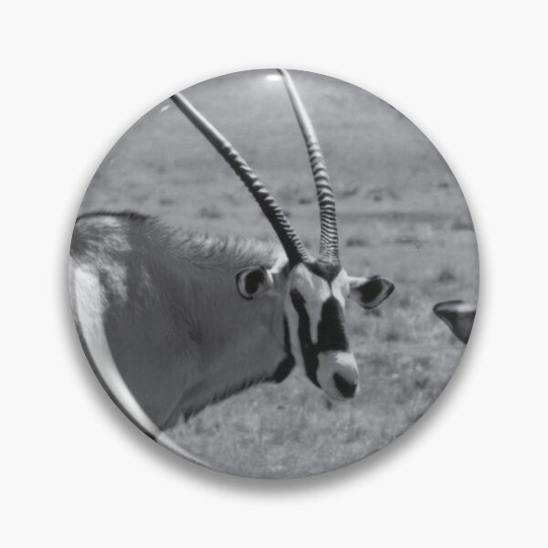 Item preview, Vintage Photo of Gemsbok designed and sold by JerryFrank.