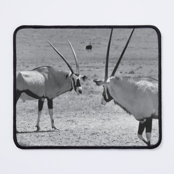 Item preview, Vintage Photo of Gemsbok designed and sold by JerryFrank.