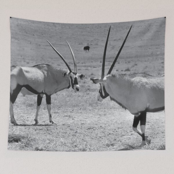 Item preview, Vintage Photo of Gemsbok designed and sold by JerryFrank.
