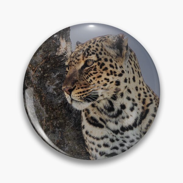 Item preview, Leopard looking out from a tree designed and sold by FormigaArt.