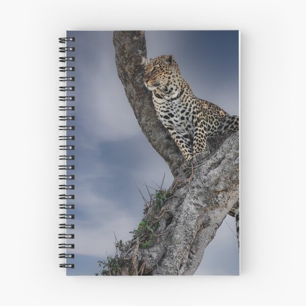 Item preview, Leopard looking out from a tree designed and sold by FormigaArt.