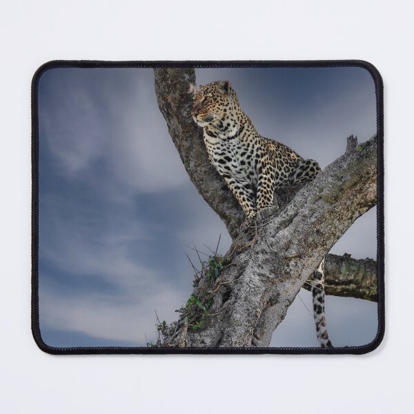 Item preview, Leopard looking out from a tree designed and sold by FormigaArt.