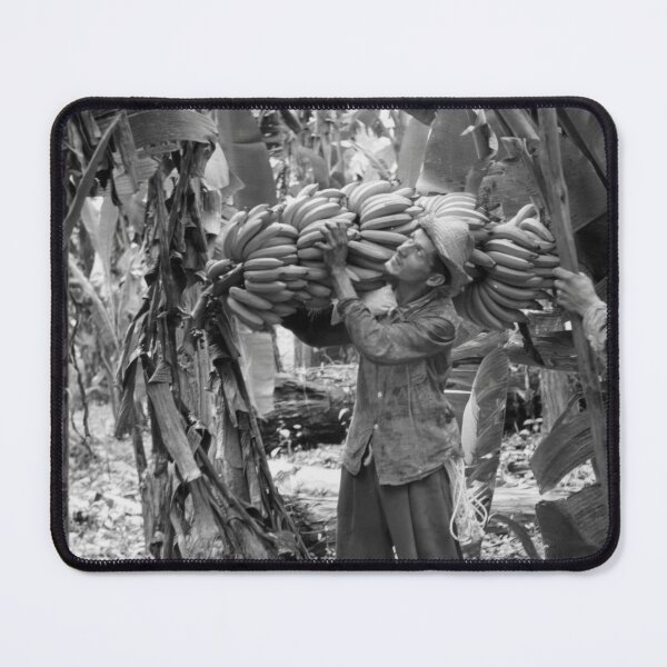 Item preview, Ecuador Banana Plantation designed and sold by JerryFrank.