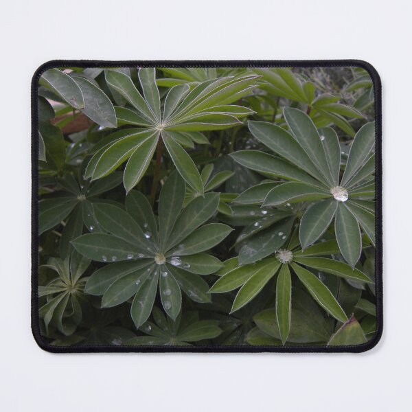 Item preview, Morning Dew designed and sold by gibbonsangelica.