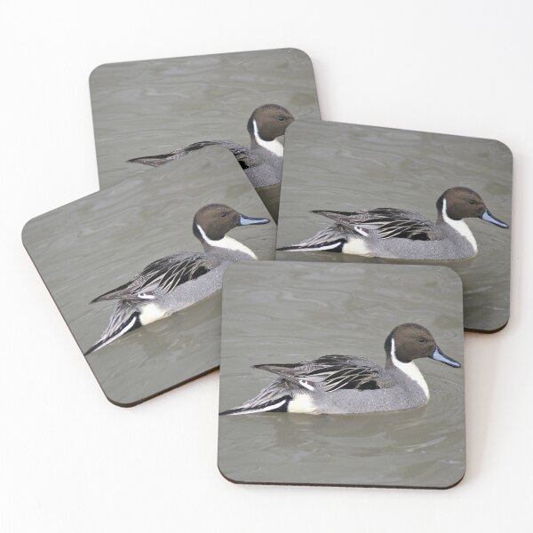 Item preview, Pintail (pattern) designed and sold by Yampimon.
