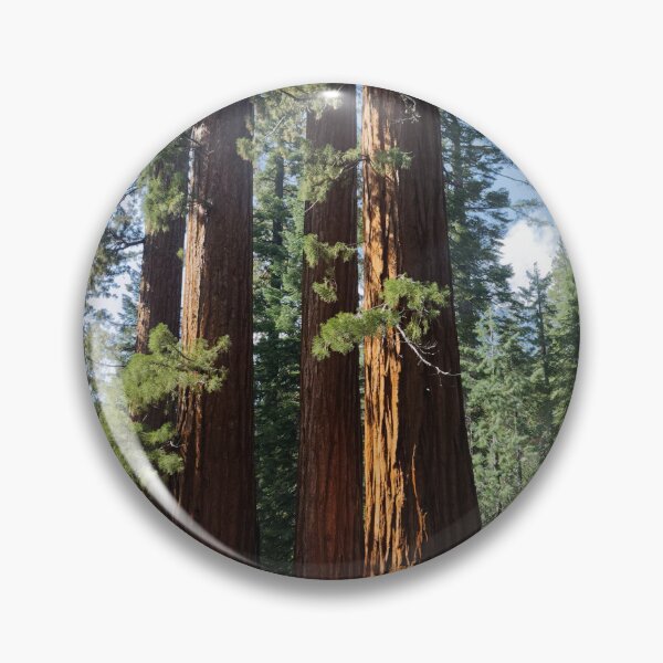Item preview, Giant Redwood designed and sold by McGaggs.