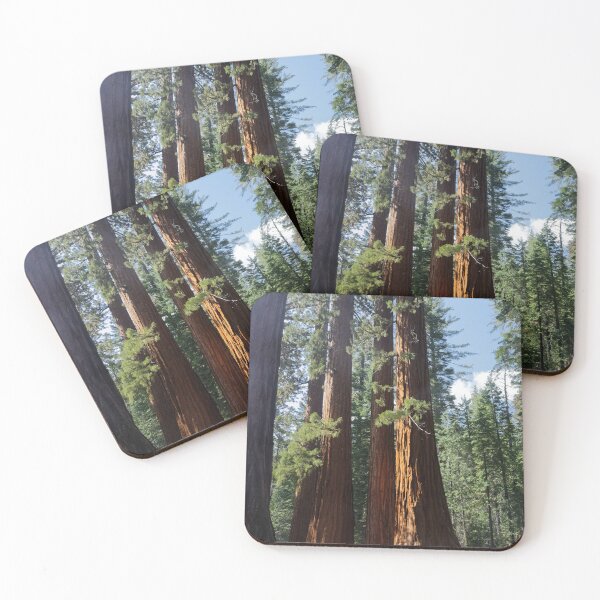 Item preview, Giant Redwood designed and sold by McGaggs.