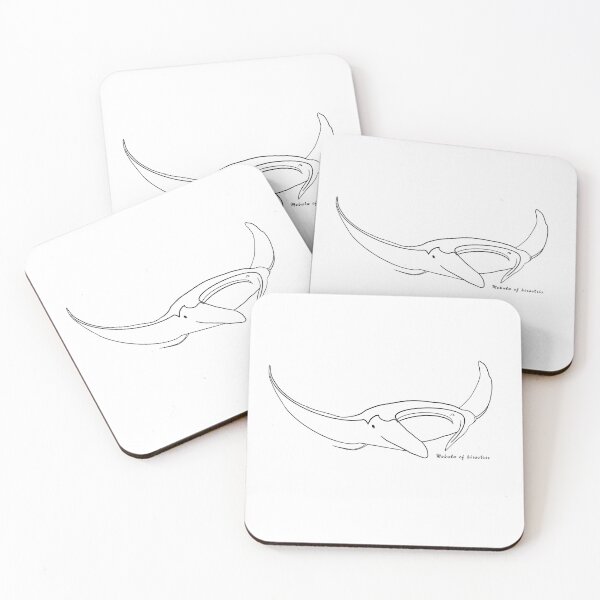 Item preview, Manta ray outline BLACK with Latin name  designed and sold by heatherwestt.