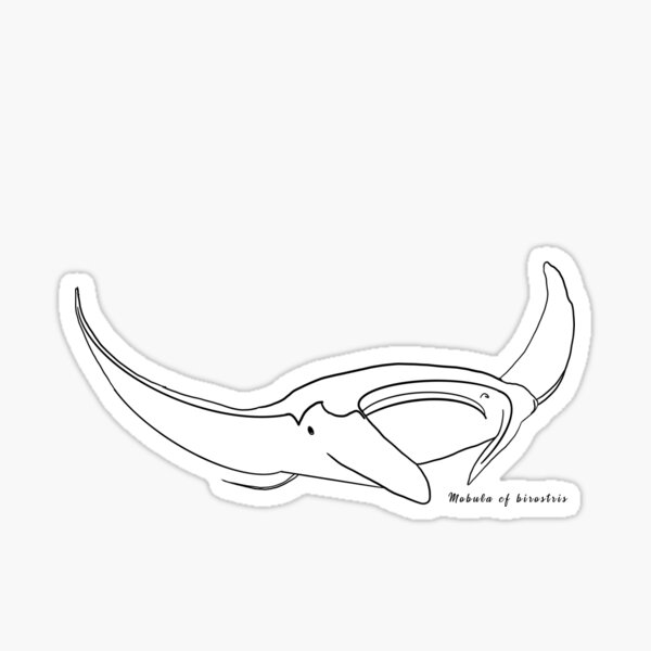 Manta ray outline BLACK with Latin name Sticker