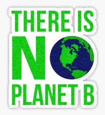 There Is No Planet B - There is no planet B! Sticker