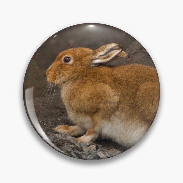 Item preview, Irish Hare designed and sold by Jon Lees.