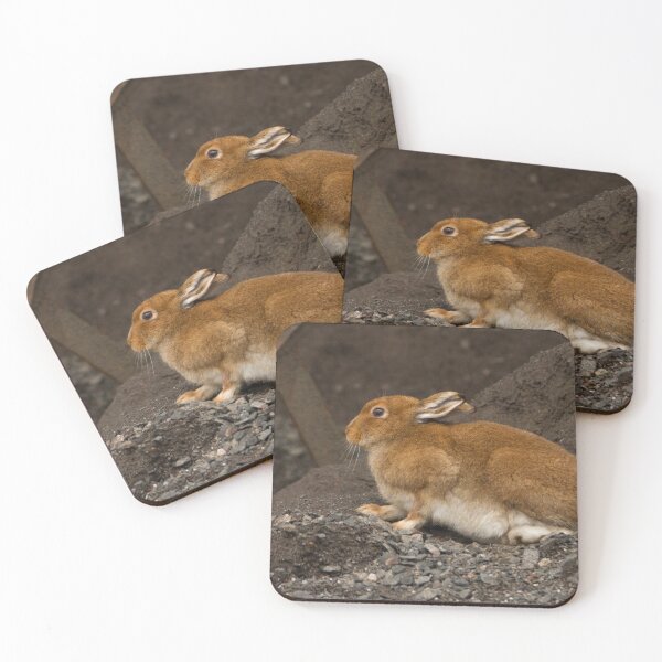 Item preview, Irish Hare designed and sold by Jon Lees.