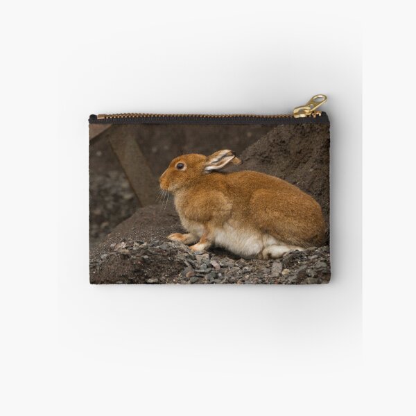 Item preview, Irish Hare designed and sold by Jon Lees.