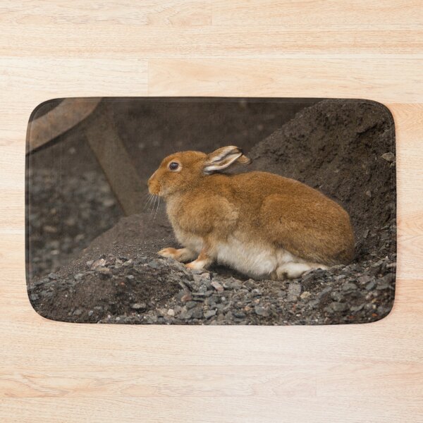 Item preview, Irish Hare designed and sold by Jon Lees.