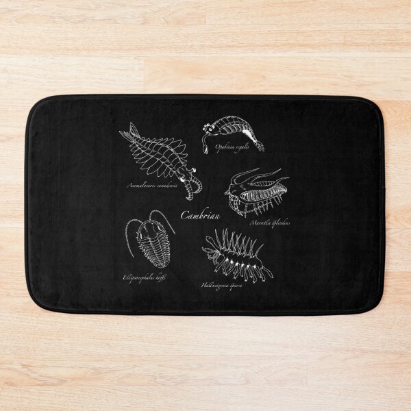 Item preview, Cambrian Life (Hand Writing Style Font) designed and sold by DavidNeffArt.