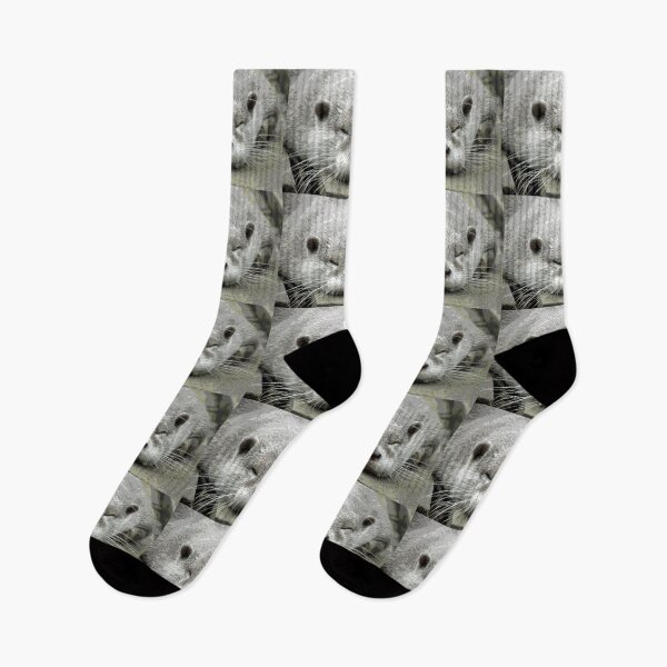 Item preview, Sleeping Cute Sea Otter designed and sold by KingdomWildlife.