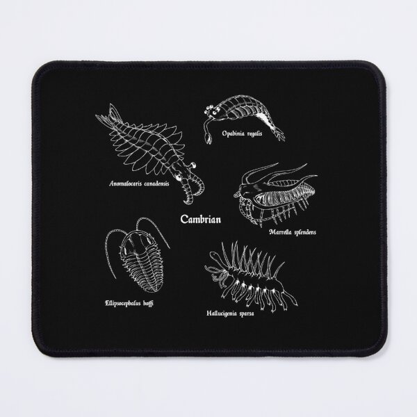 Item preview, Cambrian Life (Textbook Style Font) designed and sold by DavidNeffArt.